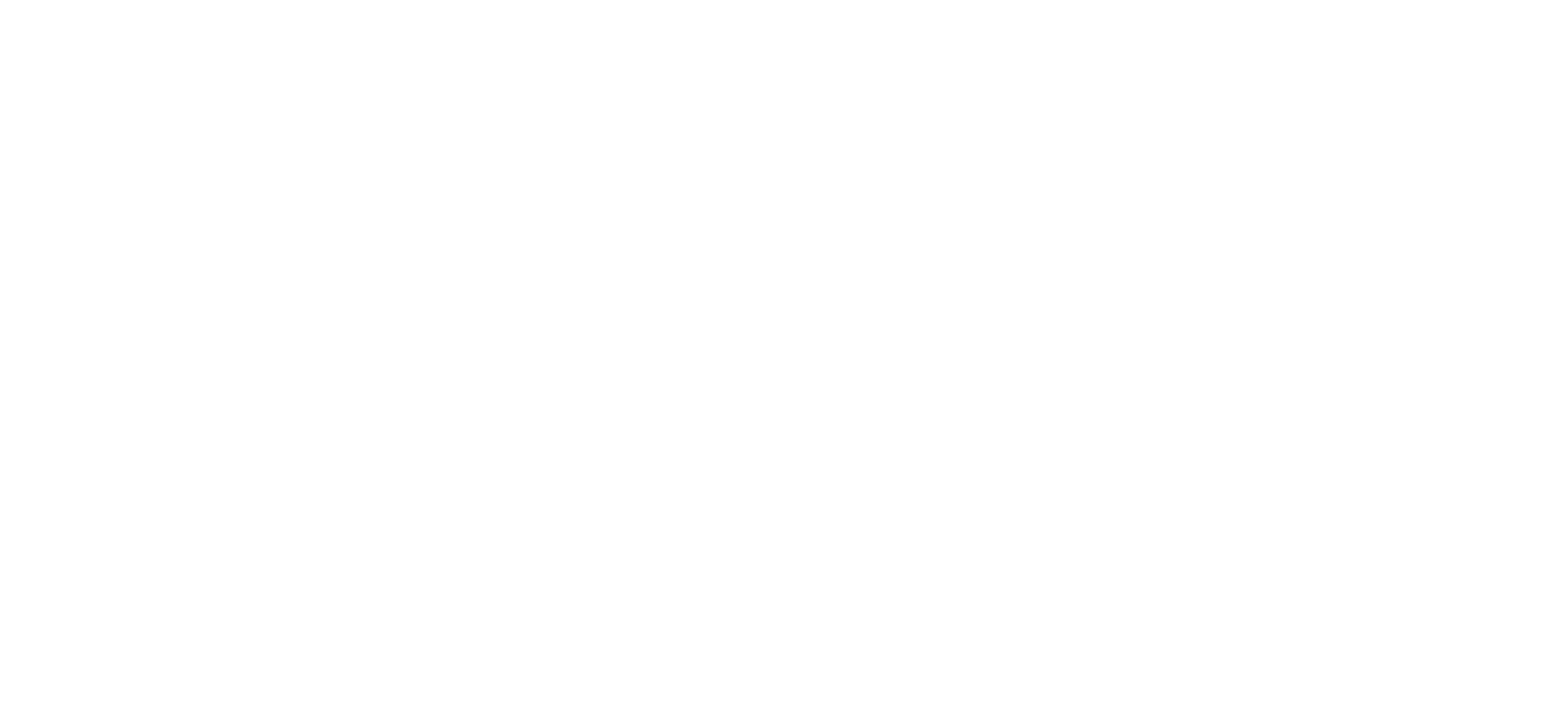 Akon – Logo & descriptor – white
